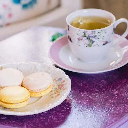 Begonvil By Aliki אלאקאטי