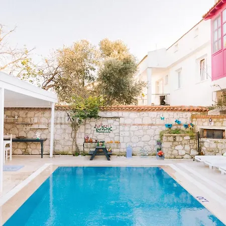 Begonvil By Aliki אלאקאטי